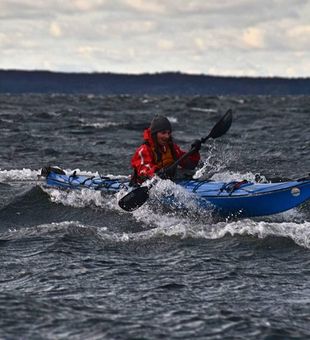 Georgian Bay Marina Water Adventures!