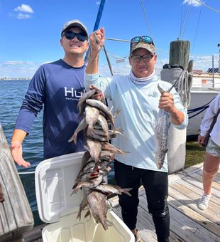 Hook, line, and adventure await.