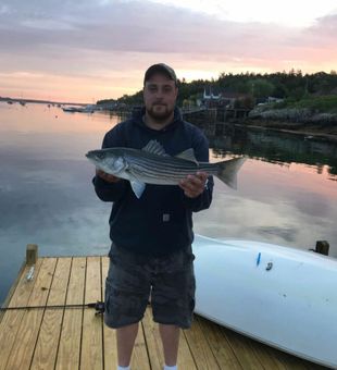 Striper Fishing In Monroe, Maine