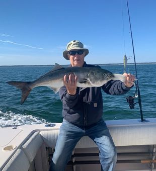 Nice Plymouth bluefish makes for great action!