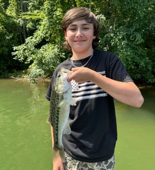 North Carolina largemouth bass action for the win.