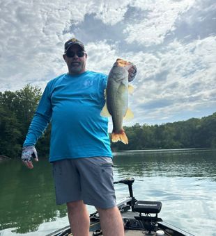 North Carolina largemouth bass showing out.