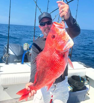 Big snapper day on Florida’s Atlantic coast