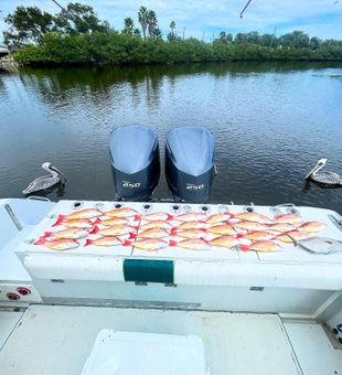 Candy Colored Haul - New Smyrna Beach, Fl.