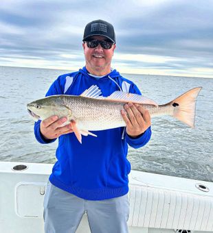 Now the reds are biting - New Smyrna Beach, Fl.