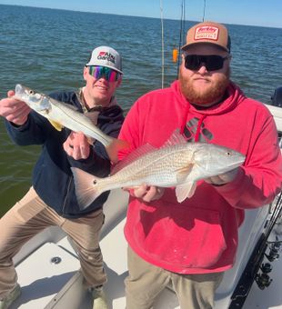 Snook and redfish combo!