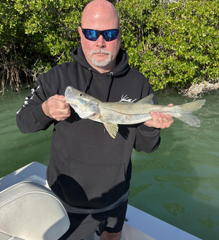 Beautiful Fort Myers snook from the mangroves!