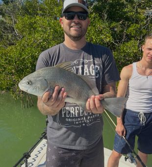 Solid Black Drum catch