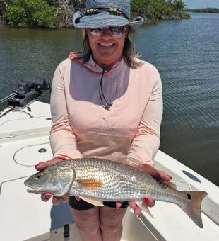 Bait, cast, catch – repeat all day