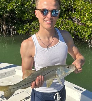 Strong Snook catch