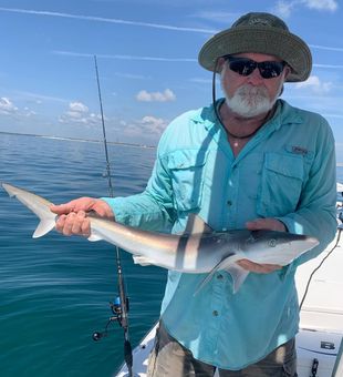 New Smyrna Beach shark fishing fun