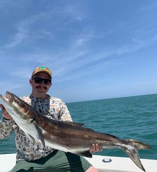 Hooked up in New Smyrna Beach