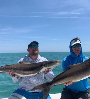 Double cobia success in New Smyrna Beach waters!