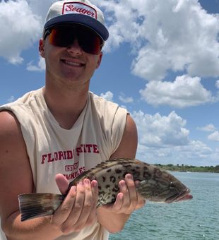 Beautiful gag grouper from New Smyrna Beach waters!