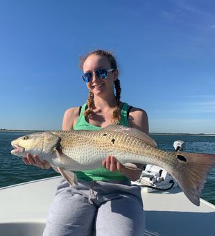 Impressive redfish catch under bluebird skies!