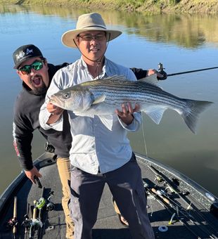 Nice Arbuckle striped bass makes for great fishing!