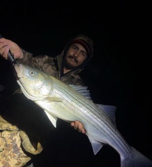 Nice Arbuckle striped bass from the night bite!