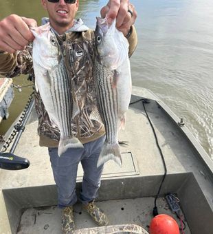 Striped bass success!