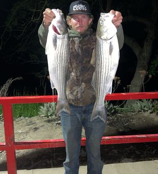 Impressive night catch!