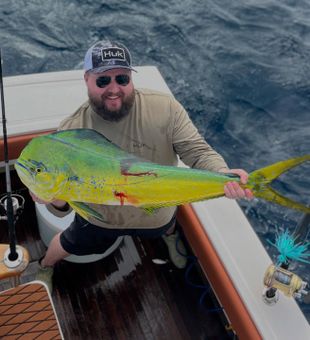 Mahi mahi on deck in Miami FL