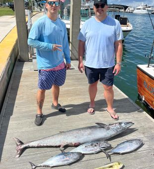 Offshore Action in Miami Waters