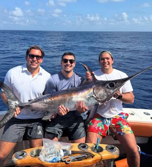 Big Catch Off Miami Beach