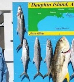 Premier Inshore fishing in Dauphin Island 2022