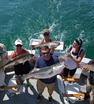 Reel action in Cape Cod Bay!