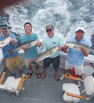 Reel action in Cape Cod Bay!