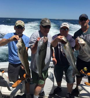 Striped bass fishing in MA!