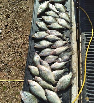 Crappie fishing in Oklahoma