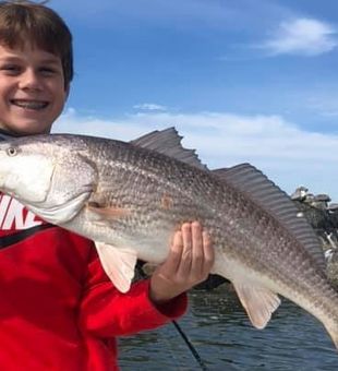 Redfish from Florida Gulf