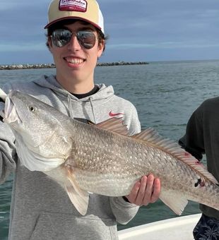 Redfish from Florida Gulf