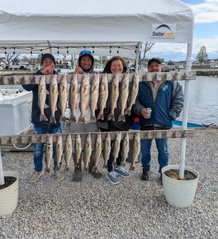 Impressive Walleye haul, proud crew!