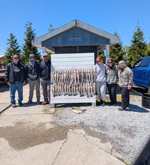Lake Erie walleye fishing in Port Clinton combines spectacular scenery, expert guides, and some of the hottest fishing action around.