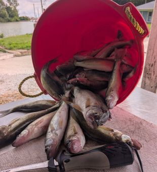 Your next fishing trip starts here.