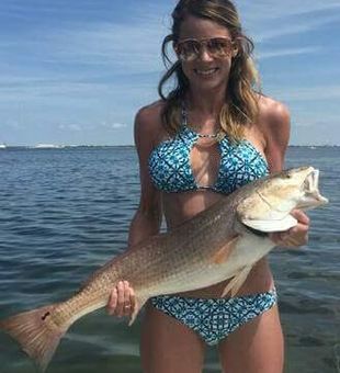 Apollo Beach: Redfish Hotspot