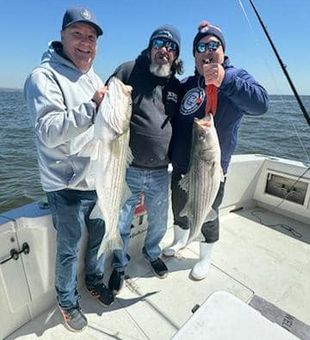 Deck full of Striped Bass