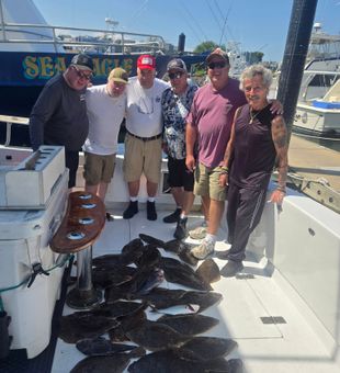 Solid flounder haul today.