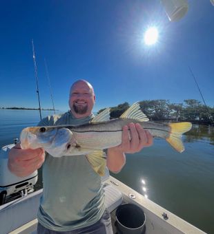 Golden | snook, inshore, Florida, fishing