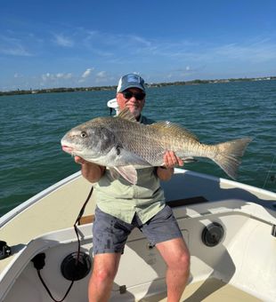 Battling oversized redfish in St. Petersburg, Florida — prime inshore fishing conditions and nonstop rod-bending action.