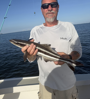 Stormy skies and deep sea action: the perfect recipe for Cobia in St. Pete!