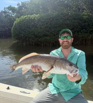 Trophy redfish landed in St. Pete, FL — shallow water fishing at its finest along the Tampa Bay flats.