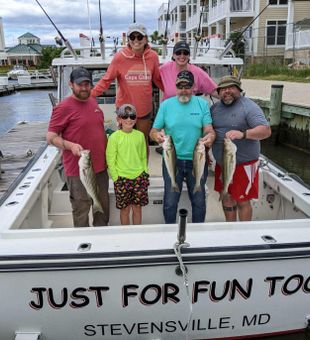 Chesapeake Bay Rockfish Charters