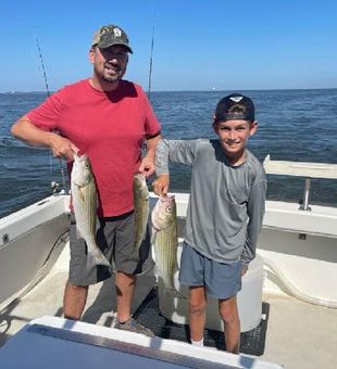 Great striped bass action in Grasonville MD!