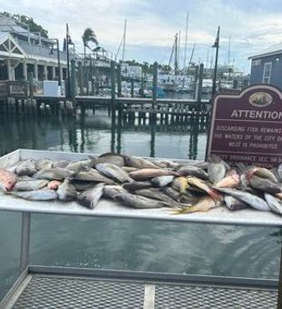 Florida Fishing Adventures Begin Here