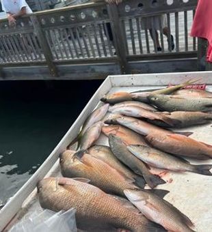 Experience Fishing The Keys