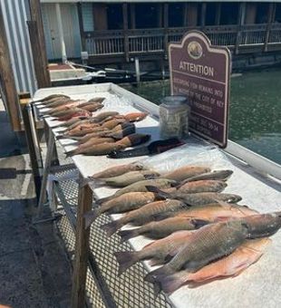 The Best Fishing Charter Options