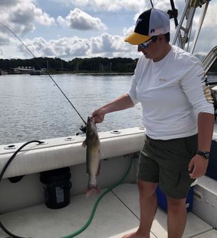 Quality Catfish Catch