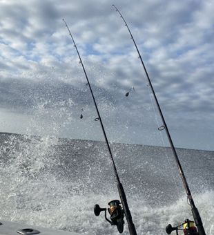 Action on Chesapeake Bay